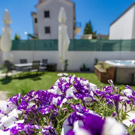 Apartments Mikulin Family Punat Exterior photo